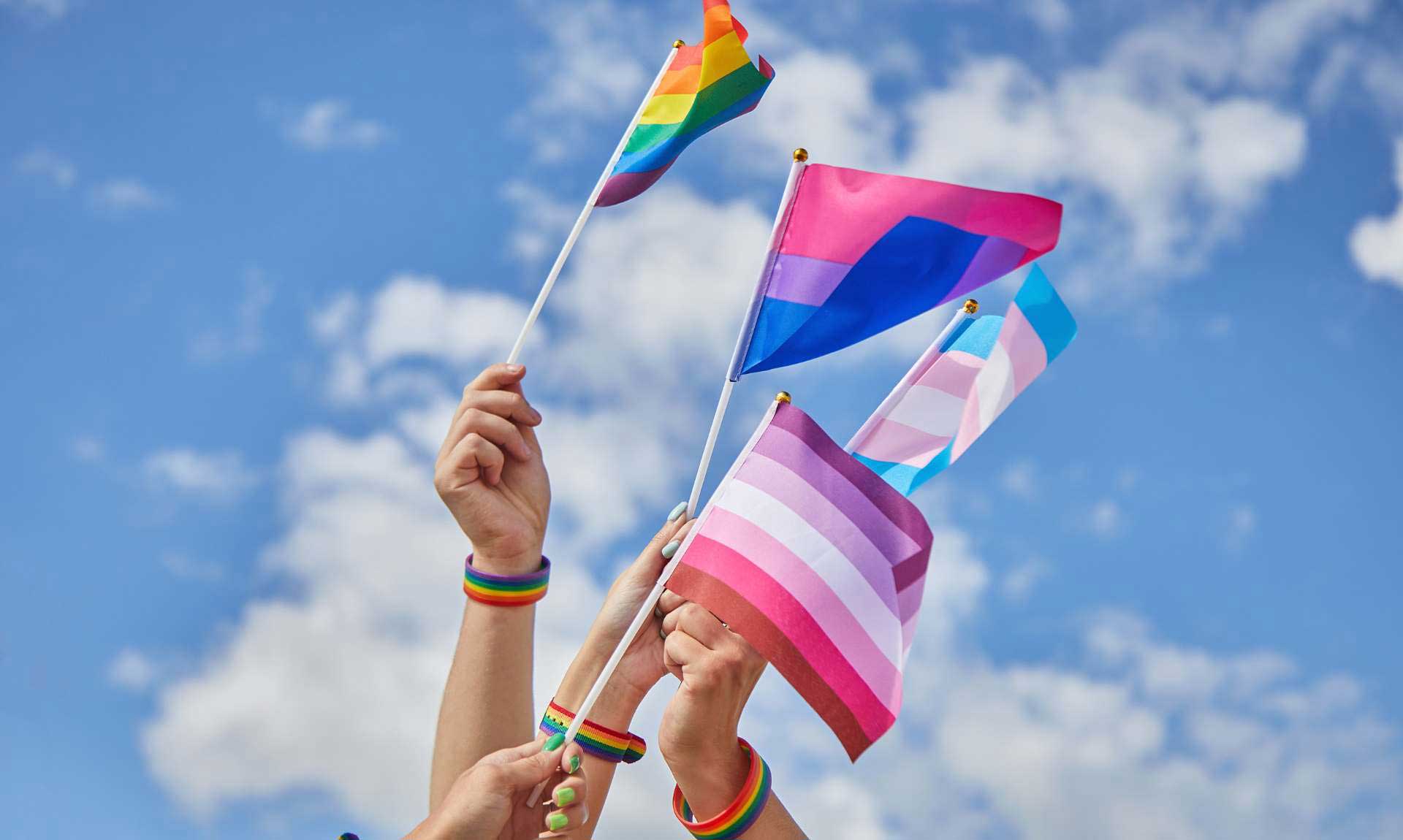 Hands raised in the air holding various LGBTQ+ pride flags—including the rainbow, bisexual, transgender, lesbian, and pansexual flags—against a bright blue sky with clouds, with individuals wearing rainbow wristbands.