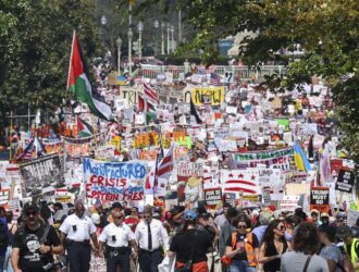 Protestors at No Kings Protest